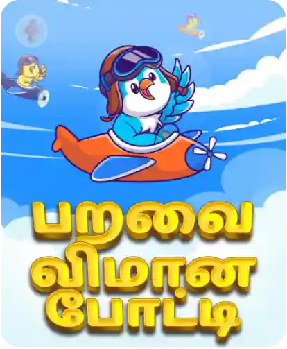 பறவை விமான போட்டி